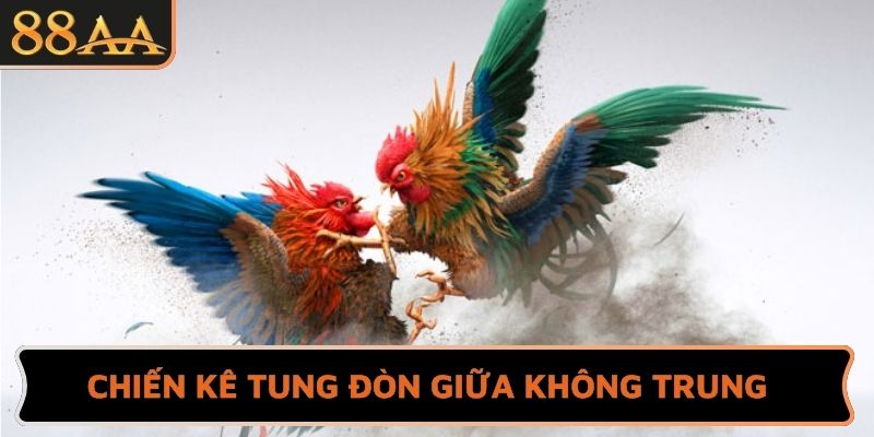 Chiến kê tung đòn giữa không trung