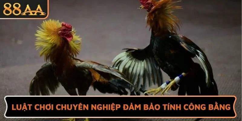 Luật chơi chuyên nghiệp đảm bảo tính công bằng