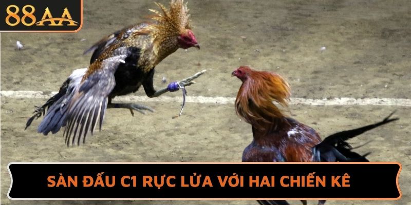 Sàn đấu C1 rực lửa với hai chiến kê