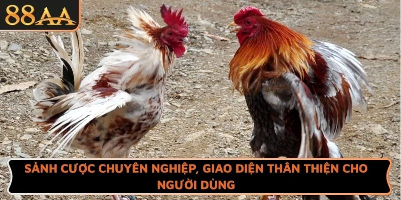 Sảnh cược chuyên nghiệp, giao diện thân thiện cho người dùng